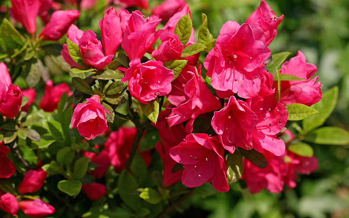 感动中国2019年度人物揭晓！这10个故事，老师家长讲给孩子听！