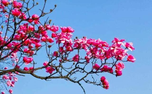 教师用好这7组课堂用语，上课效果马上不一样！