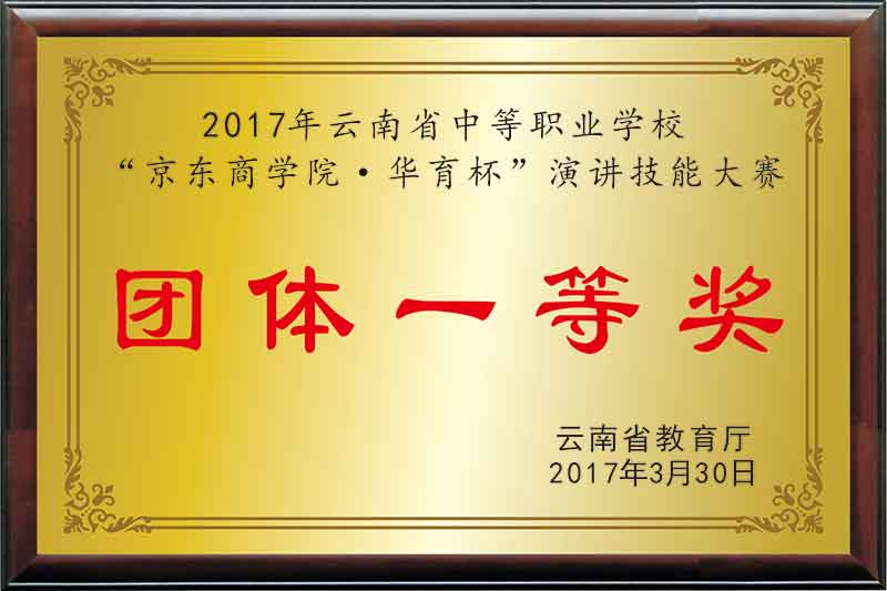 2017年云南省中等职业学校“京东商学院·华育杯”演讲技能大赛团体一等奖