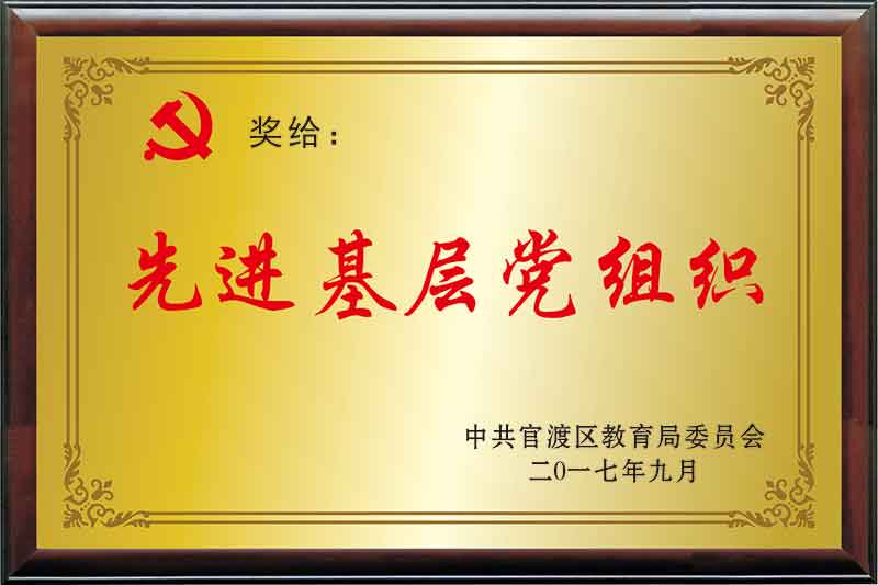 2017年优秀基层党组织