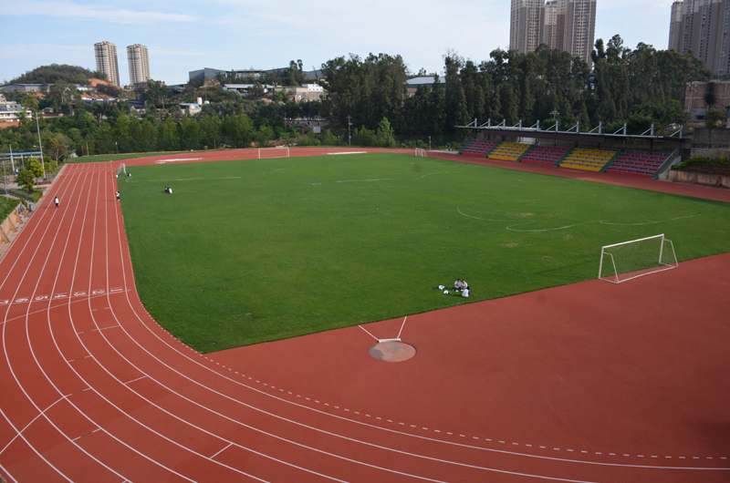 官渡区职业高级中学党支部学习党的十九大会议精神