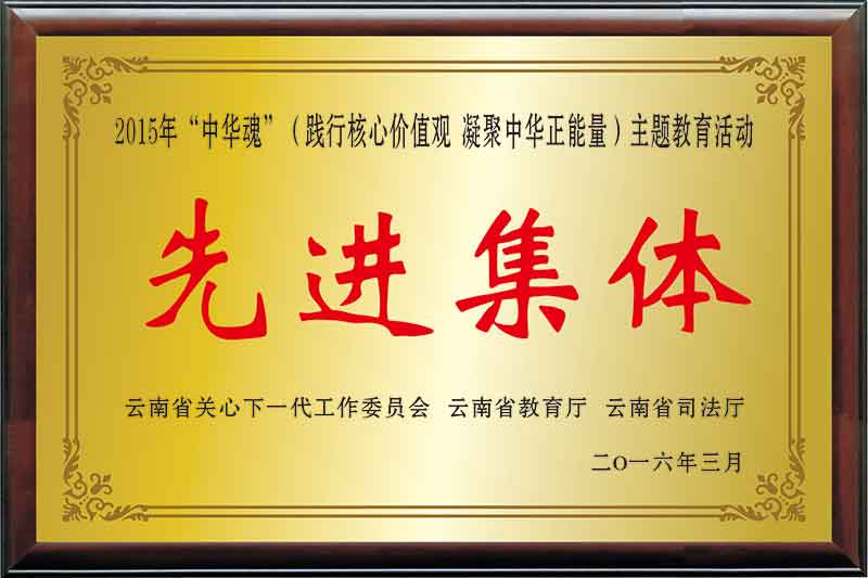 《2015“中华魂”（践行核心价值观-凝聚中华正能量）主题教育活动先进集体》