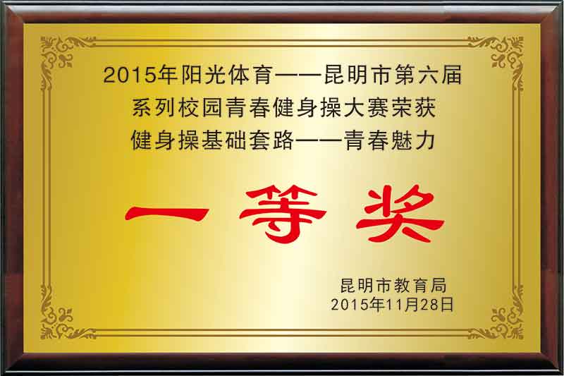 《2015年阳光体育——昆明市第六届系列校园青春健身操大赛荣获健身操基础套路——青春魅力一等奖》