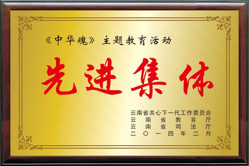 《中华魂》主题教育活动先进集体
