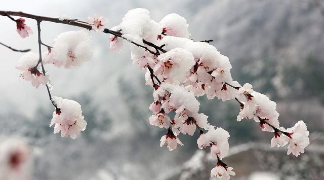 放任不管是快乐教育，可怕！