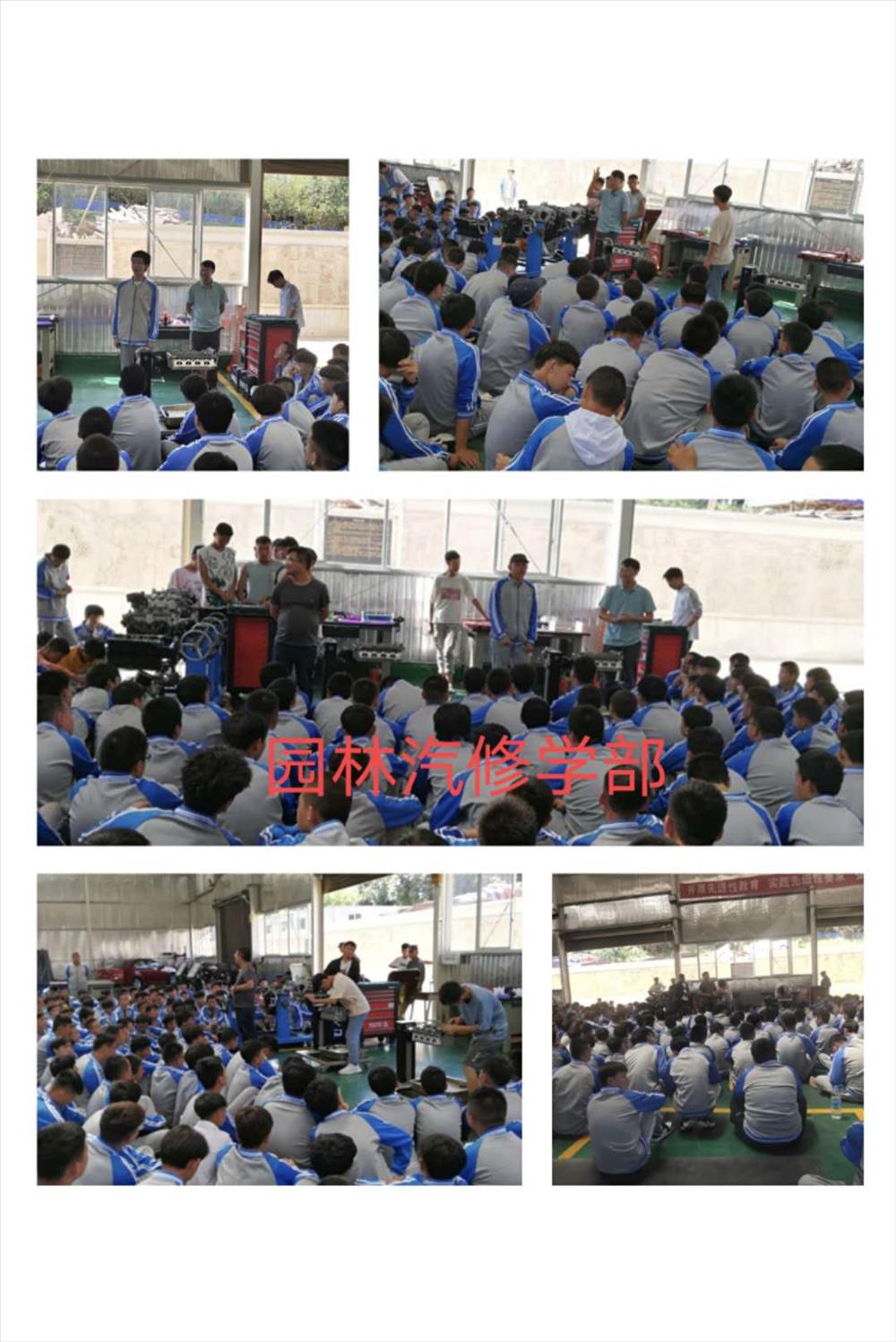 园林汽修学部.jpg